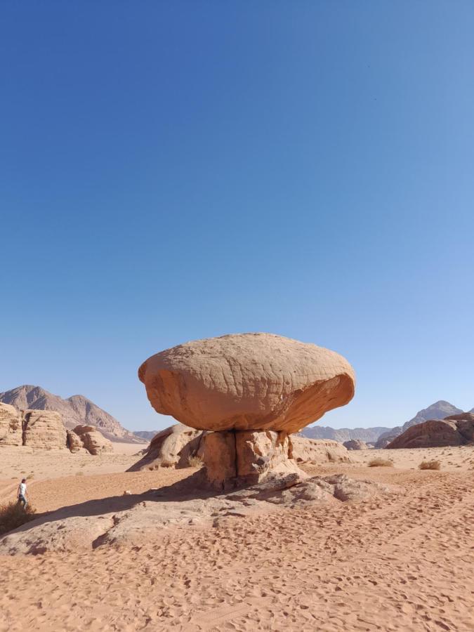 Wadi Rum Camels Camp מראה חיצוני תמונה