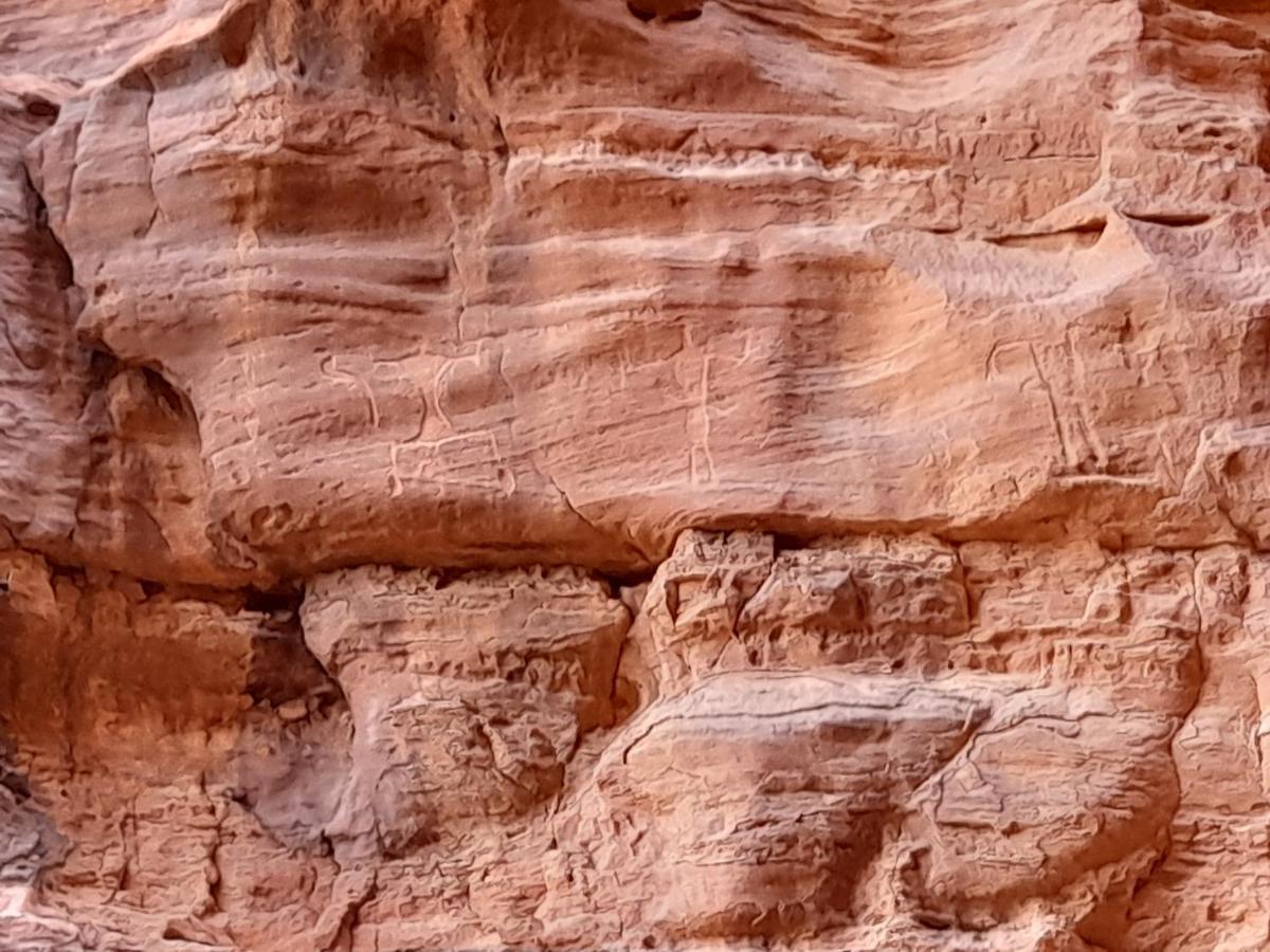 Wadi Rum Camels Camp מראה חיצוני תמונה